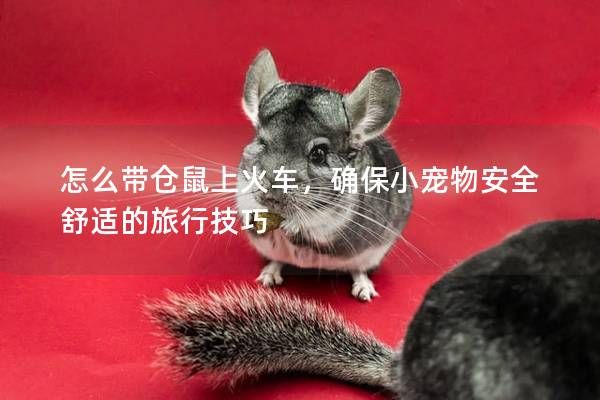 怎么带仓鼠上火车，确保小宠物安全舒适的旅行技巧