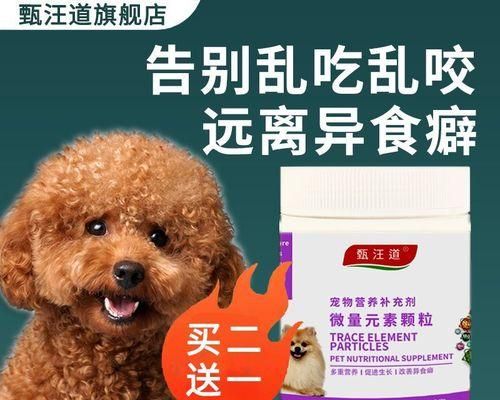 小狗需要哪些微量元素（为宠物狗提供均衡营养所需的微量元素）