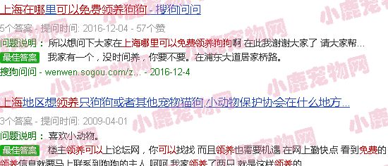 上海哪里可以免费领养宠物狗