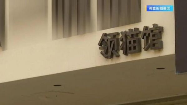 宠物免费领养背后的“坑” 隐性消费需警惕