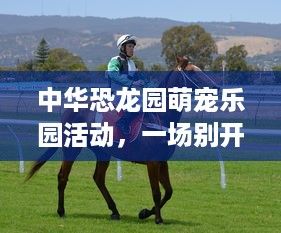 中华恐龙园萌宠乐园活动，一场别开生面的自然探索之旅