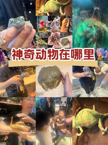 和孩子一起解锁新知识