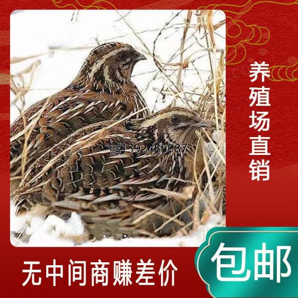 万聚百货店畜牧/养殖技术服务