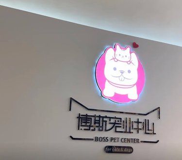 老板人非常好，技术专业热情，很会安抚狗狗情绪