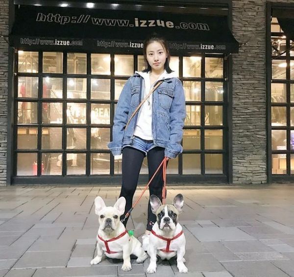 北京最美法国斗牛犬鲁班，麻麻和宠物狗狗的日常竟然是玩亲亲