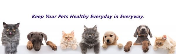 Pet Supplement Pure Hemp Essential Oil Drops Private Label for Sale