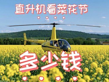 直升机看菜花节多少
