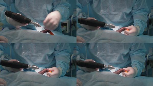 兽医用钻头将金属丝插入宠物的骨折处以固定骨折。兽医外科中宠物的植骨手术。宠物骨折的概念。