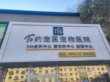 医术超赞 医心更美~