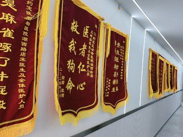 仁心仁术，护佑健康—— 它约宠物动物医院赞歌