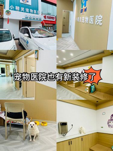 安心陪诊服务，我体验了
