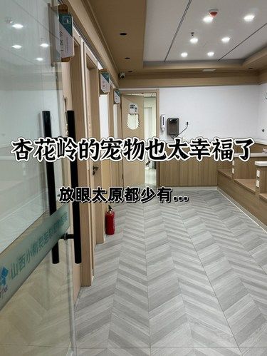太原宝藏宠物医院推荐！