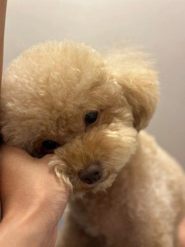 原来爱真的是常觉亏欠… 