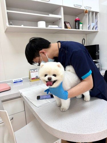 狗狗用行动告诉我 芭比堂就是宠物医院里的协和