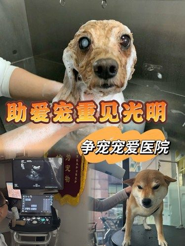 争宠宠爱医院➼【白内障手术推荐】，专业又贴心