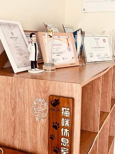 被这家宠物医院拿捏了！！