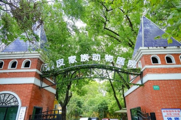 上海顽皮家族虹桥总院通过美国动物医院协会(AAHA)认证,引领宠物医疗国际化新征程