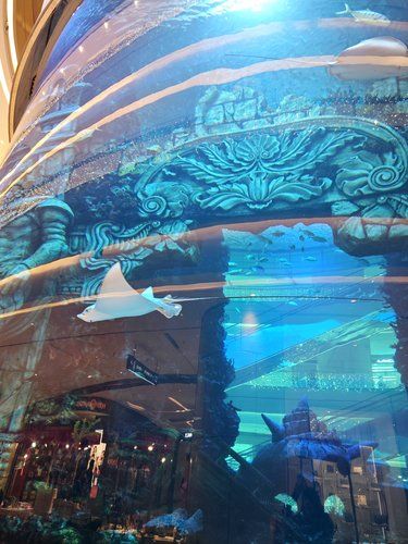星光68水族馆