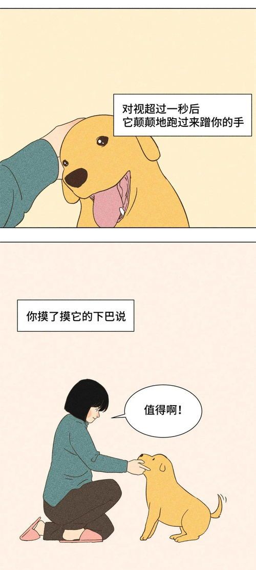“宠物遇险，速施援手，家人至上！”