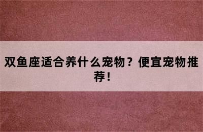 双鱼座适合养什么宠物？便宜宠物推荐！