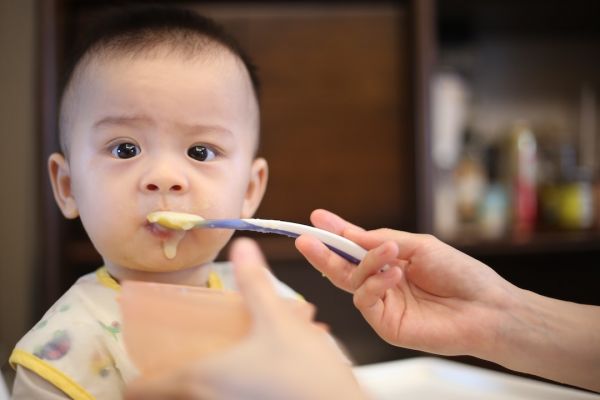 宠物险退保之后不能买 保宠物险怎么报案