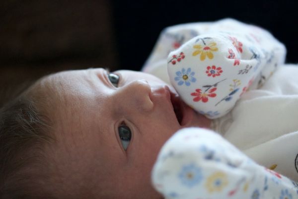 保宠物险要交多少年 宠物险退保会退钱吗