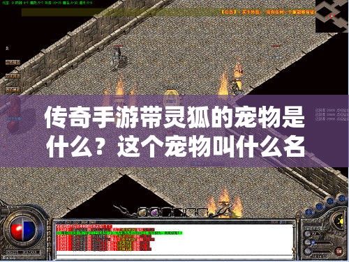 传奇手游带灵狐的宠物是什么？这个宠物叫什么名字？