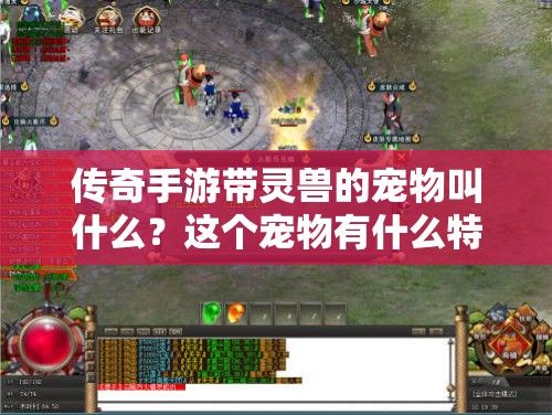 传奇手游带灵兽的宠物叫什么？这个宠物有什么特殊技能？