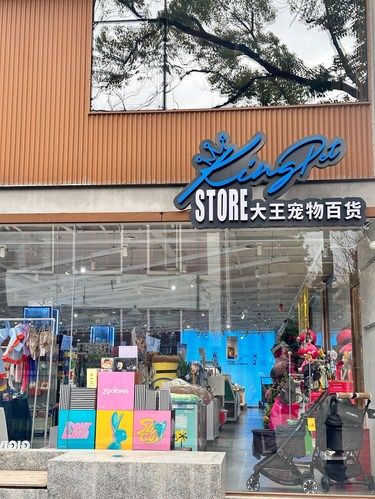 毛孩子们太幸福，大王百货里用品优惠折扣中