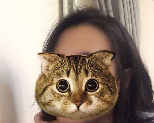 打造您的专属宠物美发沙龙（以猫咪为主题）