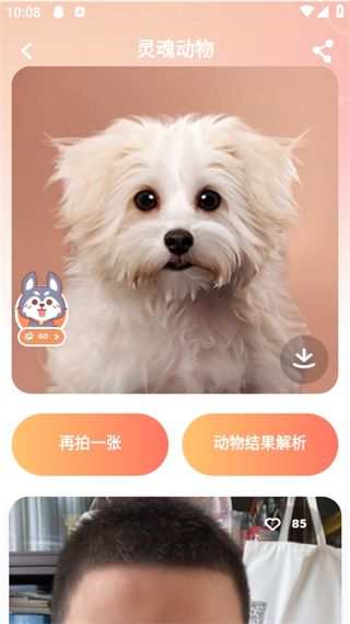 灵魂宠物app