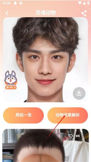 灵魂宠物app