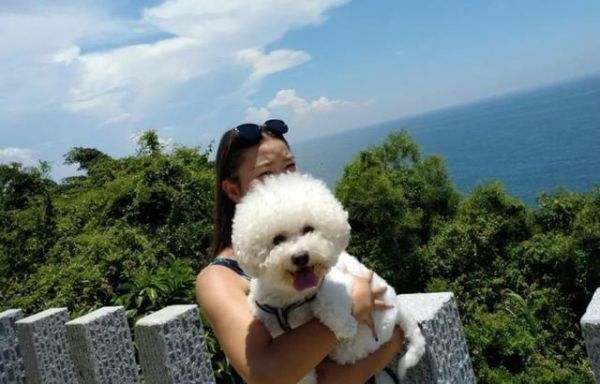 你们的宠物怎么样了？12个真实故事：原来这才是你内心的选择