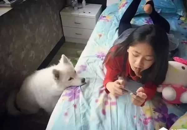 你们的宠物怎么样了？12个真实故事：原来这才是你内心的选择