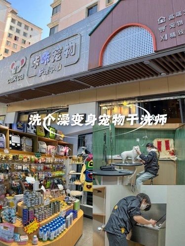 吹爆这家宠物店！洗护超绝 