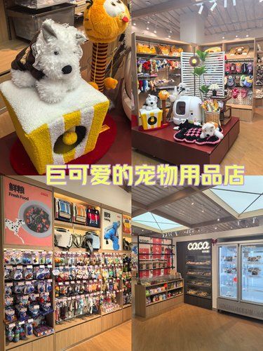 昆明这家宠物用品店也太可爱了吧！