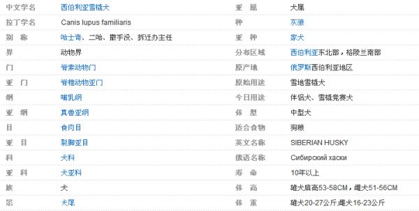 昆明哪一家宠物店可以买到哈士奇 多少钱一只