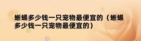 蜥蜴多少钱一只宠物最便宜的（蜥蜴多少钱一只宠物最便宜的）