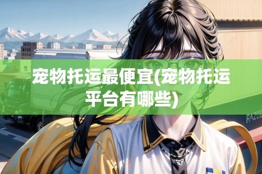 宠物托运最便宜(宠物托运平台有哪些)