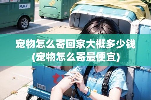 宠物怎么寄回家大概多少钱(宠物怎么寄最便宜)