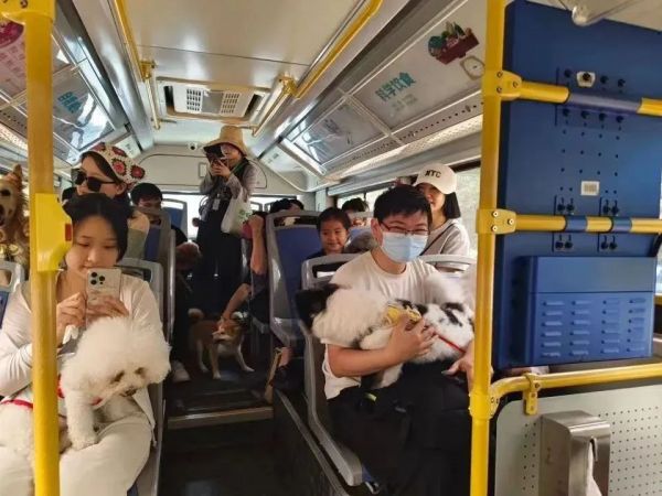 5月起，乘港铁可带宠物了