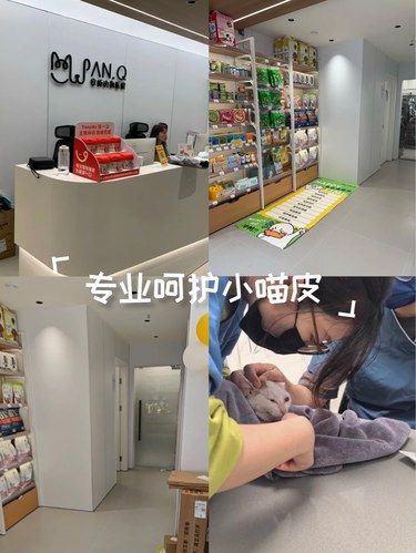 健康先行～猫咪护理