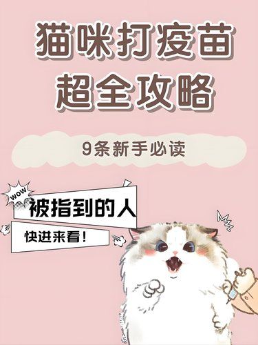 新手铲屎官们，猫咪打疫苗的知识都在这儿啦