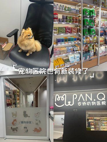 带着毛孩子体检的一天