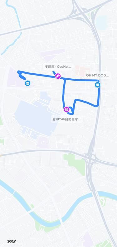 上海春季CityWalk