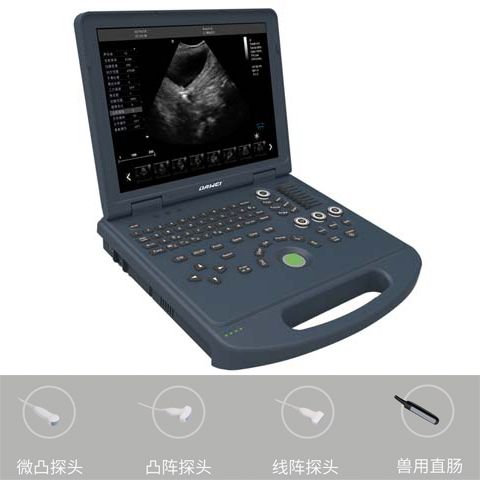 宠物B超机品牌厂家
