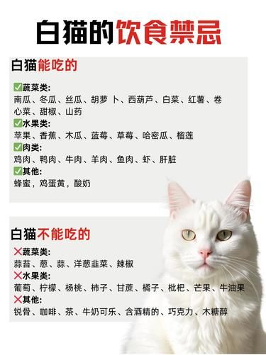 喵咪身体构造大揭秘