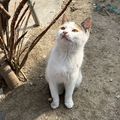 https://p0.meituan.net/userheadpicbackend/ac373fef32f39de72204ce638d98b7db1605381.jpg%40120w_120h_1e_1c_1l%7Cwatermark%3D0