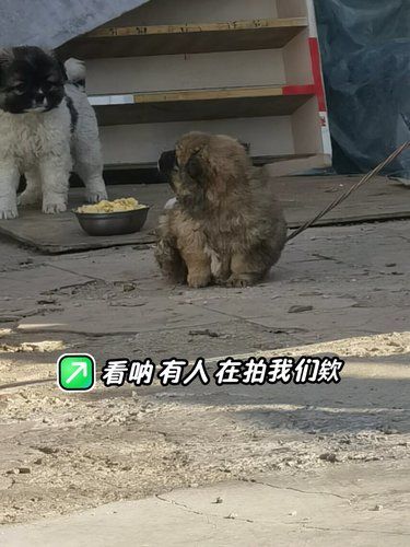 偶遇一枚小可爱
