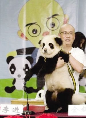 李进和他的“熊猫”爱犬